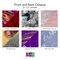 WaterColor Acrylic Variety Pack, Glowforge Ready, 6 Sheets, 1/8th", 12"x19", Cast Acrylic, Craft Closet Brand